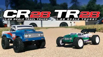 Team Associated TR28 and CR28