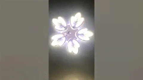 Потолочная люстра Wedo Light Dominica 75306.01.03.05