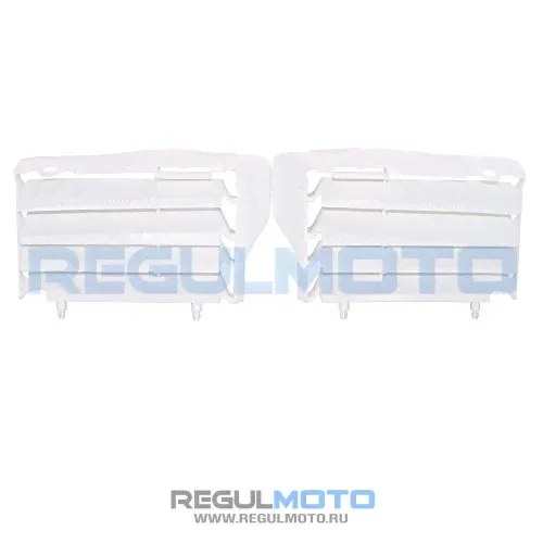 Решетка радиатора Regulmoto CR-Z 300-0