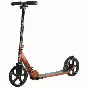 Детский 2-колесный городской самокат CITY-RIDE CR-S2-01 отзывы
