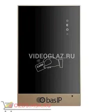 BAS-IP CR-02BD GOLD Считыватель Proximity