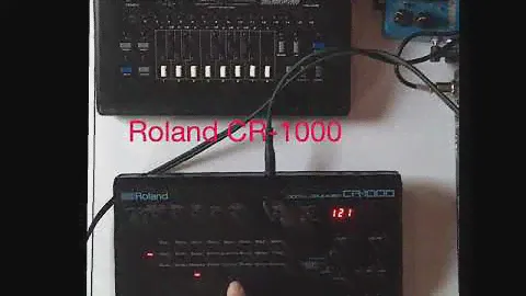 Roland CR-1000