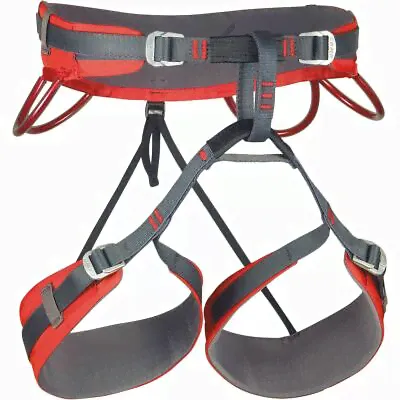 CAMP USA Energy CR 4 Harness-0