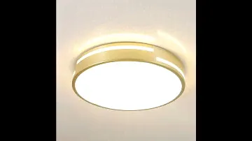 Светильник потолочный F-Promo 2745-1C