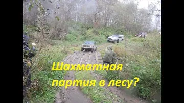 Ход ферзем! Но при чем тут Шахматы?)