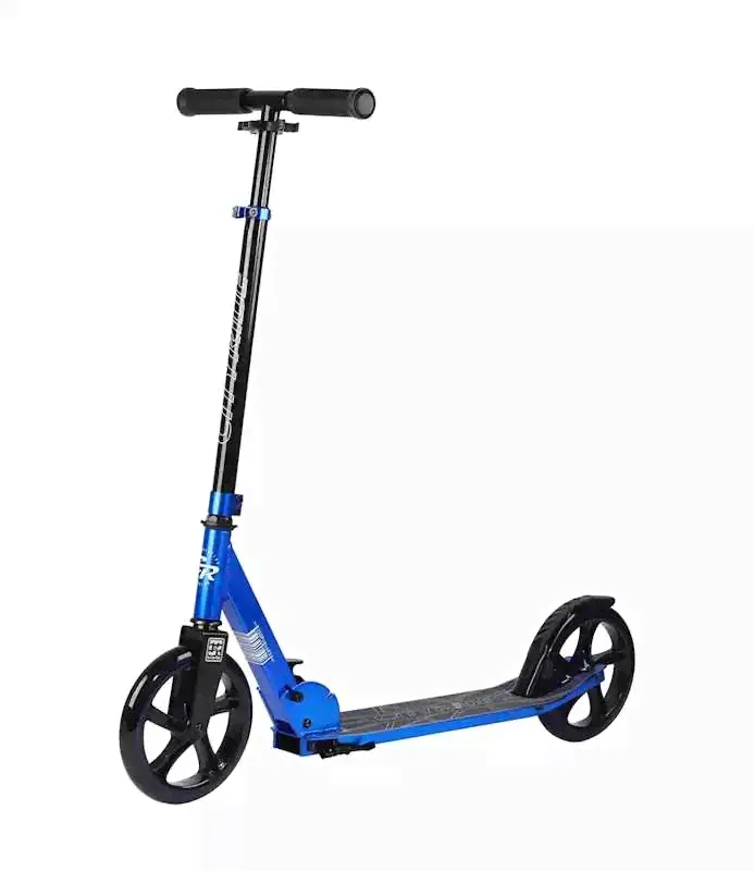 Двухколесный самокат City-Ride CR-S2-01DBL