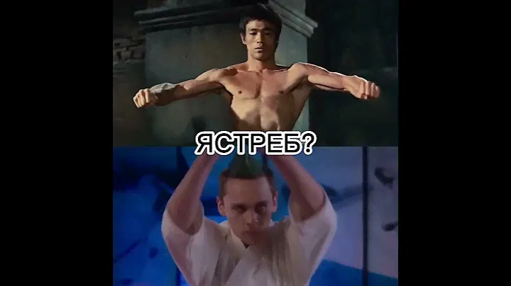 БРЮС ЛИ VS КОБРА КАЙ(1 ЧАСТЬ)