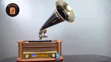 CAMRY CR 1160 Turntable with tube / Gramfon z tubą