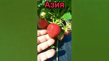 Светильник за 200 рублей😃😍 #находки #распаковка #жизньирчин