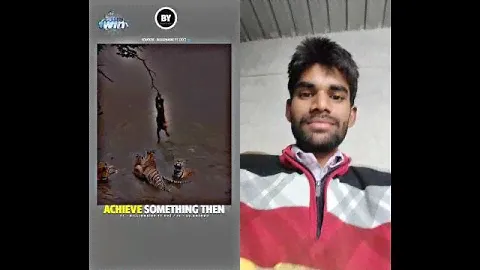 Never Give up / tigers