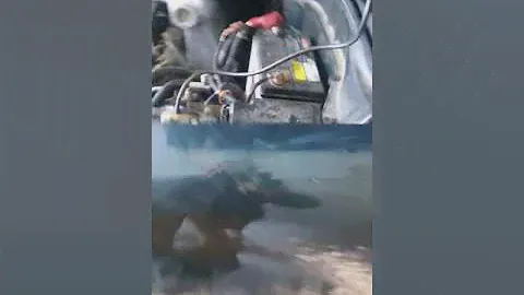 Скрип подвески honda cr-v