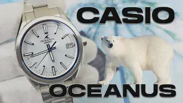 НЕ Обзор Casio OCW-T200S-7AJR / белый мишка