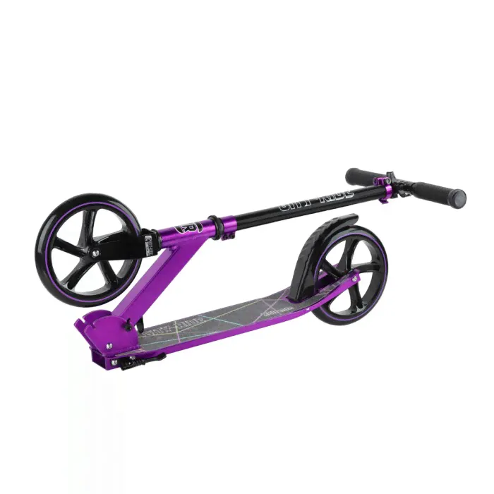 Двухколесный самокат City Ride CR-S2-01-4