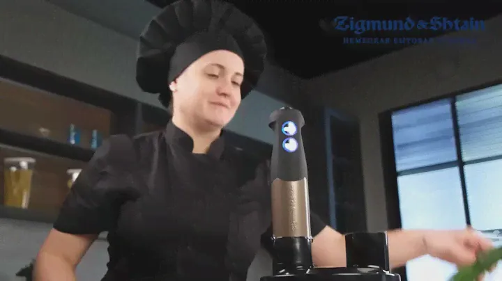 Видеообзор погружного блендера Zigmund & Shtain BH 343 M с расширенной комплекта