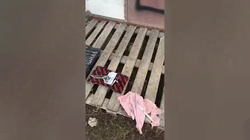 Течь масла с заглушки клапана Vtec.