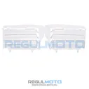 Решетка радиатора Regulmoto CR-Z 300
