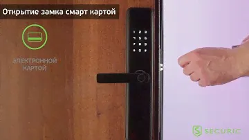 Умный замок SECURIC (арт. SEC-SF-201B)