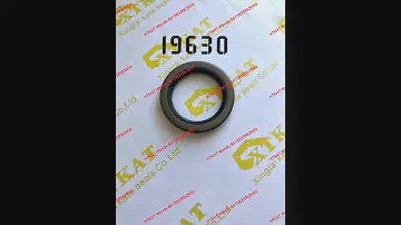SKF 19630 OIL Seal CR 50x70x8 CRW 1 R Wheel