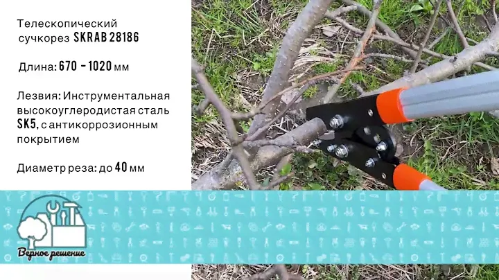Сучкорез телескопический 670-1020мм SK5 SKRAB 28186
