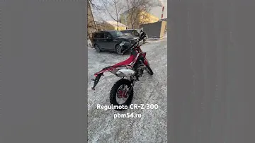 Regulmoto CR-Z 300
