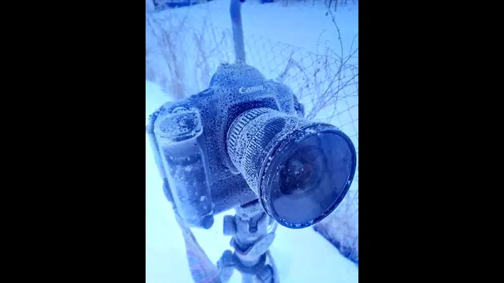 Film 35mm Camera CANON EOS 1.Батарейный блок и Аккумуляторы.Съемка в -26 градусов.